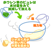 ホウレン草ニョッキ 豆乳ソース