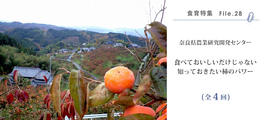 奈良県農業研究開発センター | 食育大事典
