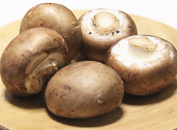 マッシュルーム（ツクリタケ） | 食育大事典