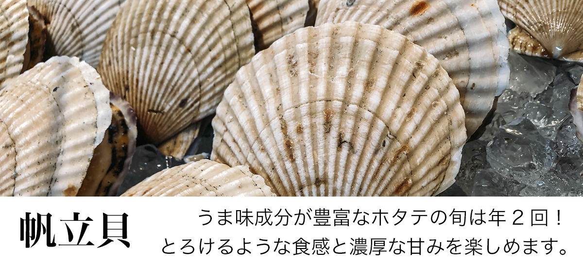 食育大事典今月のおすすめは帆立貝です。